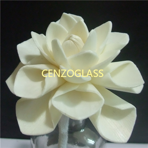 SOLA FLOWER 0001