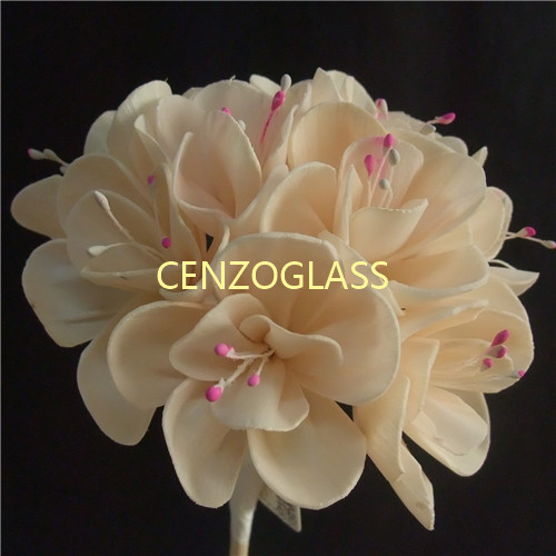 SOLA FLOWER 0002