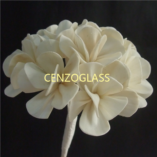 SOLA FLOWER 0003
