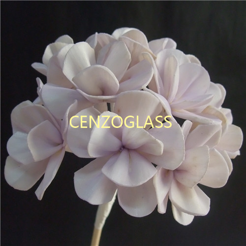 SOLA FLOWER 0004