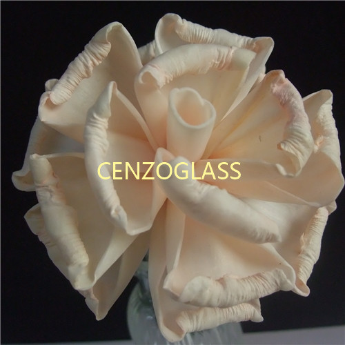 SOLA FLOWER 0005-1