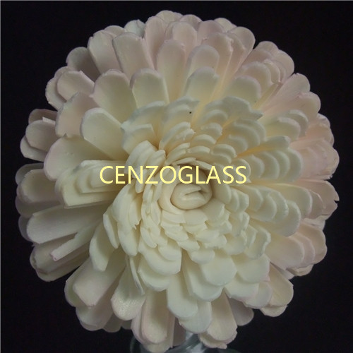 SOLA FLOWER 0006