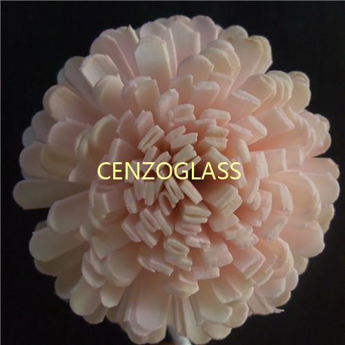SOLA FLOWER 0008