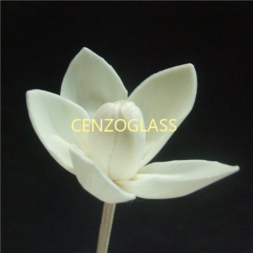 SOLA FLOWER 015