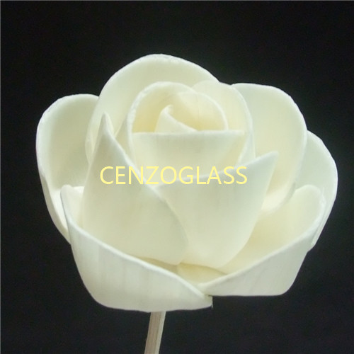 SOLA FLOWER 017