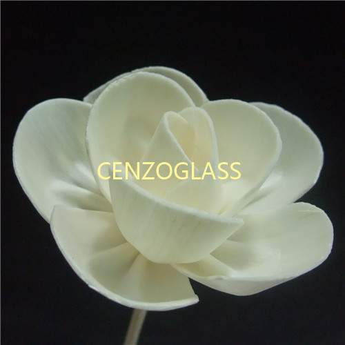 SOLA FLOWER 023