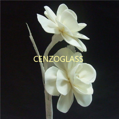 SOLA FLOWER 044