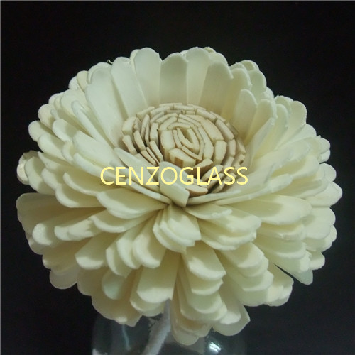 SOLA FLOWER 050