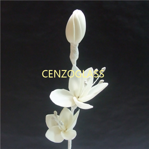 SOLA FLOWER 064