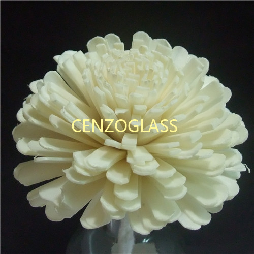 SOLA FLOWER 084
