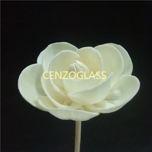 SOLA FLOWER 086