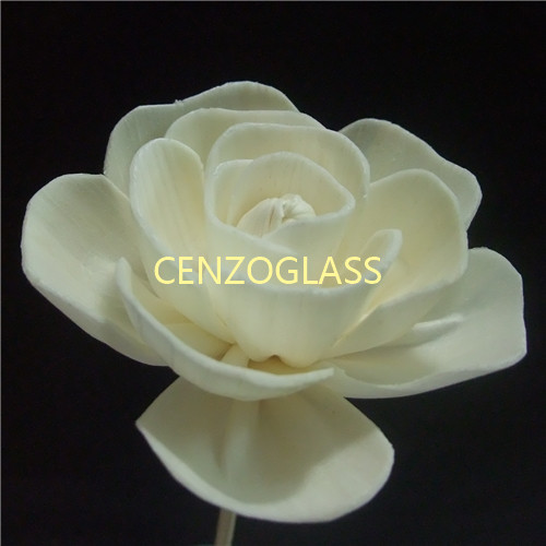 SOLA FLOWER 095