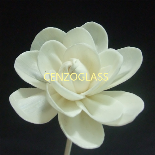 SOLA FLOWER 124