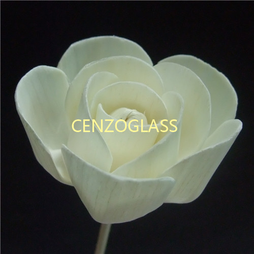 SOLA FLOWER 125
