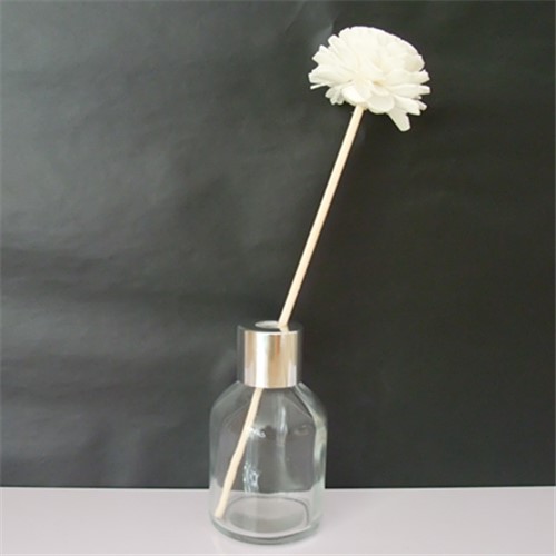 ZB901-50ML