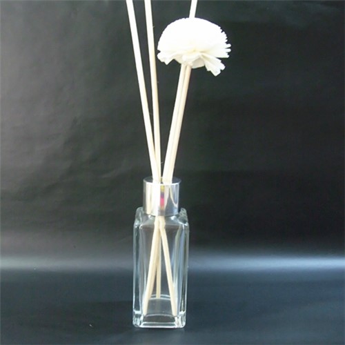 ZB379-50ML