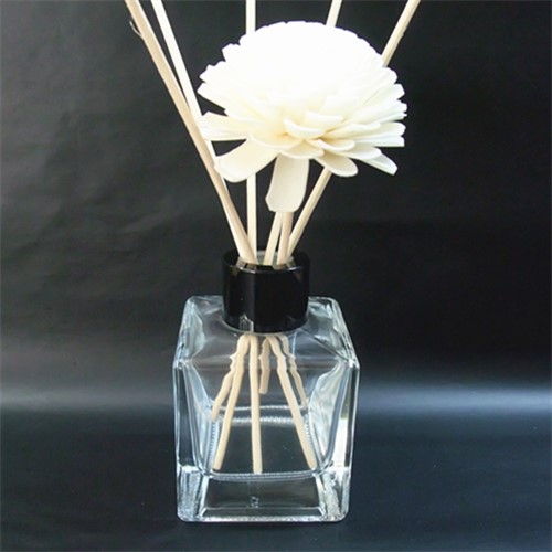 ZB1178-100ML