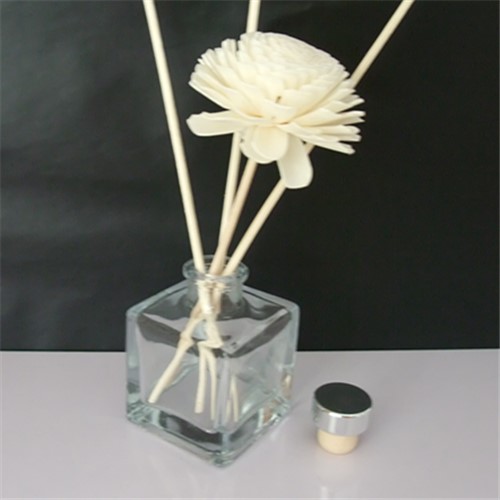 ZB1198-50ML